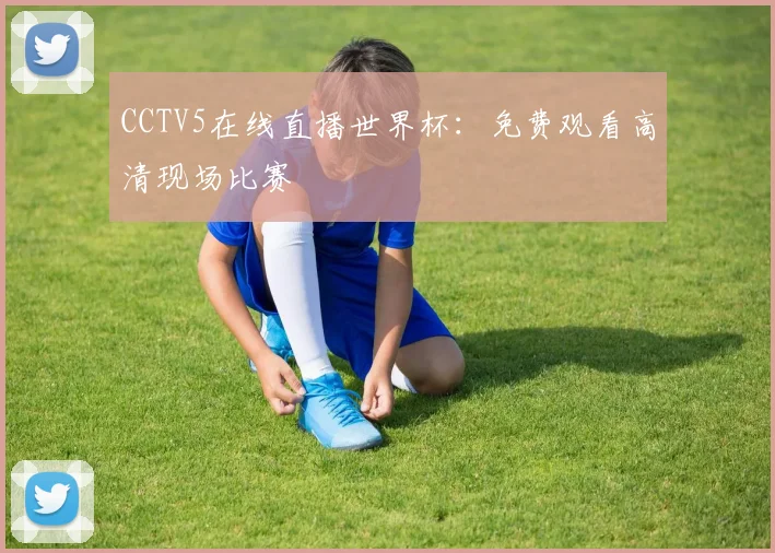 CCTV5在线直播世界杯：免费观看高清现场比赛