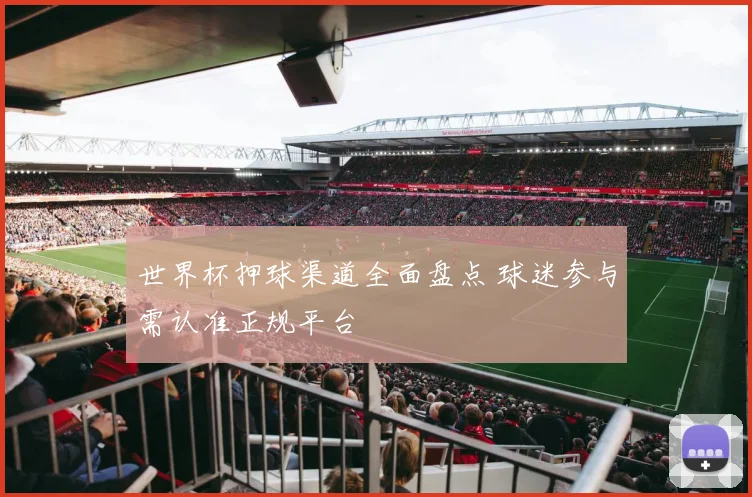 世界杯押球渠道全面盘点 球迷参与需认准正规平台