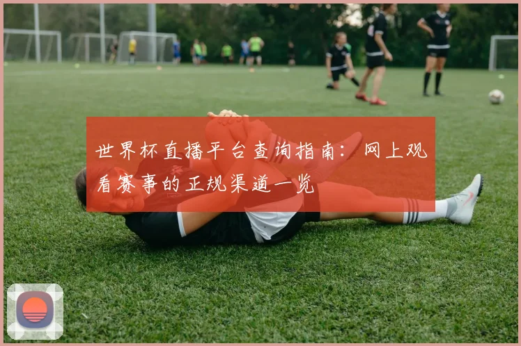 世界杯直播平台查询指南:网上观看赛事的正规渠道一览