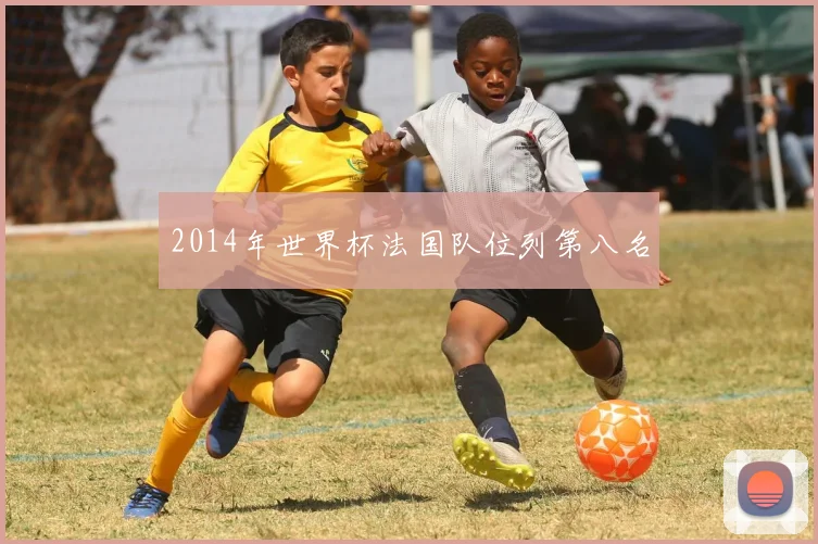 2014年世界杯法国队位列第八名