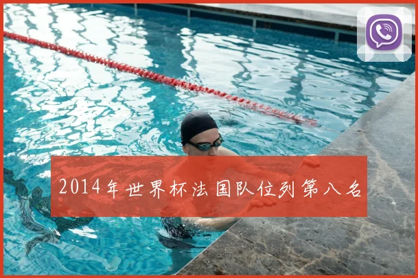 2014年世界杯法国队位列第八名