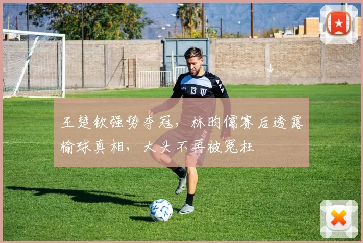 王楚钦强势夺冠,林昀儒赛后透露输球真相,大头不再被冤枉